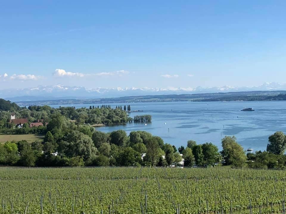 Ferienwohnung "Maisonette Unter Der Burg" Meersburg Eksteriør bilde